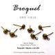 Broquel oro viejo