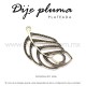 Dije pluma pavorreal plateada