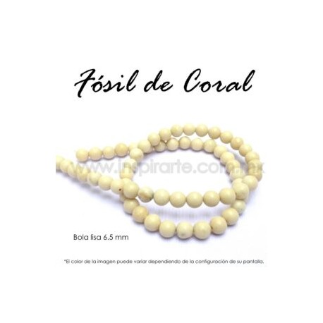 Fósil de coral, bola lisa 6.5mm