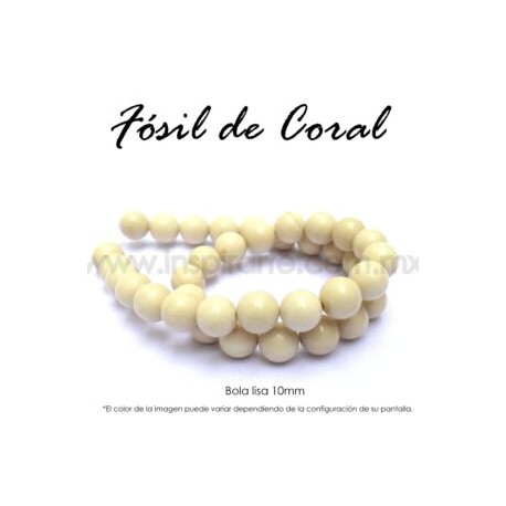 Fósil de coral, bola lisa 10mm