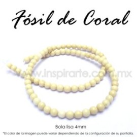 Fósil de coral, bola lisa 4mm