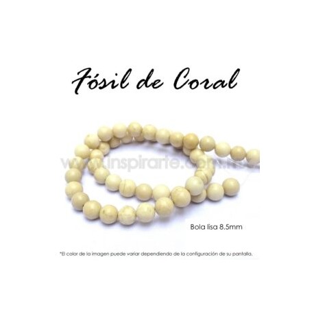Fósil de coral, bola lisa 8.5mm