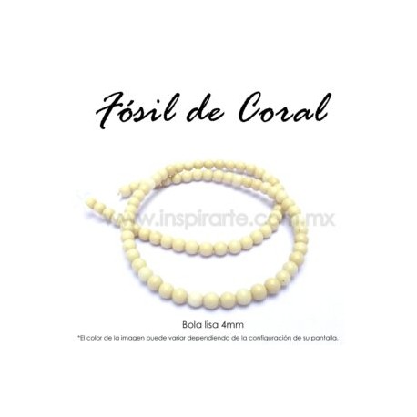 Fósil de coral, bola lisa 4mm